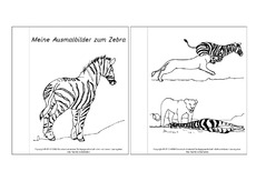 Mini-Buch-Ausmalbilder-Zebra.pdf